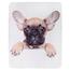 Jerry Fabrics Deka Puppy Bulldog microflanel, 120 x 150 cm