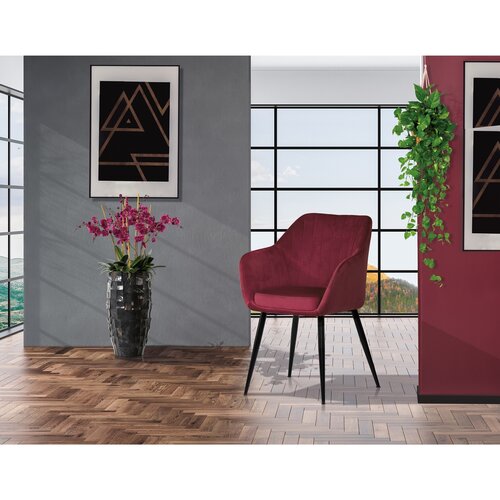 Set de scaune de sufragerie PIKA RED4, 2 buc