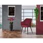 Set de scaune de sufragerie PIKA RED4, 2 buc