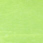 4Home mikroflanel lepedő, zöld,160 x 200 cm