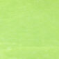 Cearşaf microflanelă 4Home, verde,, 90 x 200 cm