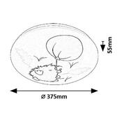 Rabalux 71191 detské stropné LED svietidlo Hedgy - ježko a balón, 24W, IP20