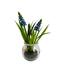 Bluebell artificială în sticlă, 19 cm