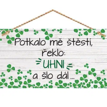 Bohemia Gifts Dekoračný obrázok na zavesenie - Šťastie