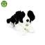 Câine Border colie din pluș Rappa, alb-negru, 45 cm