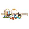 Schleich 42481 Тренування на спритність для поні