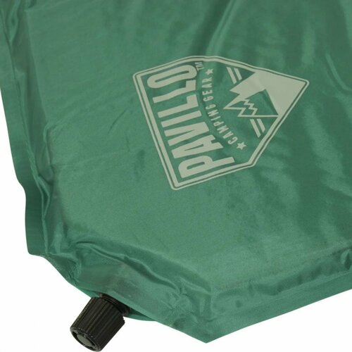 Bestway Selbstaufblasende Auto-Matte 180 x 50 x 2,5 cm, grün