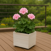 Květináč MADERA SQUARE ECO WOOD 28,8 cm, bílá