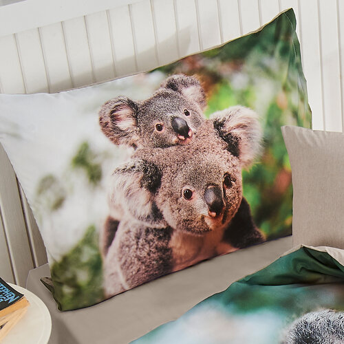 Lenjerie de pat renforce 4Home Koala bear multicoloră, 140 x 200 cm, 70 x 90 cm