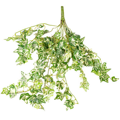 Műborostyán függeszthető dekoratív növény, magasság 50 cm