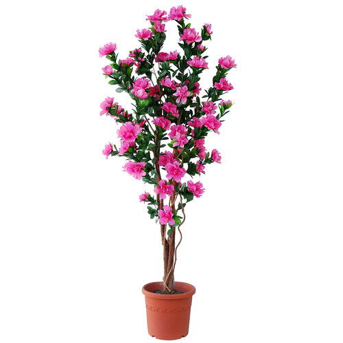 Umelá kvitnúca Azalka v kvetináči tmavoružová, 120 cm