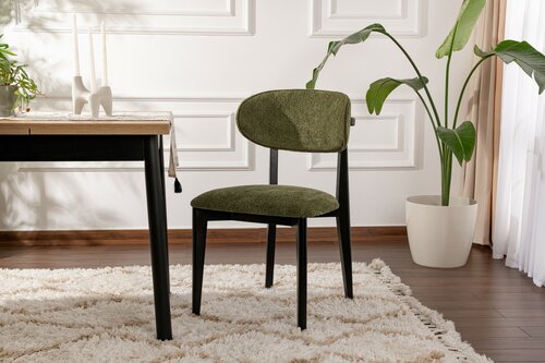 Esszimmerstuhl-Set Lionte Green and Black, 2 Stück