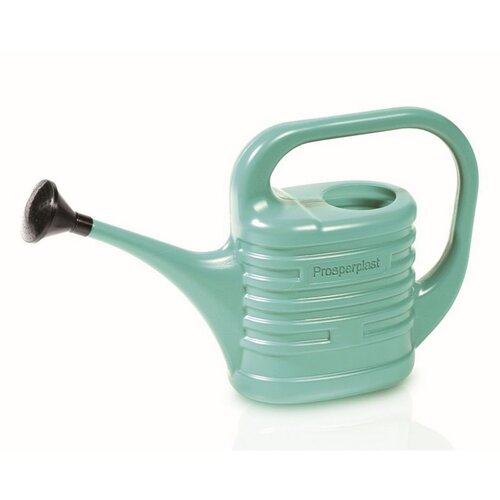 Konev Zebra salvija, 10 l