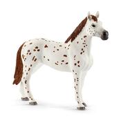 Schleich 42433 Appalosští koně a tréninkové příslušenství, 7 ks