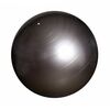 Gymnastický míč šedá, pr. 65 cm