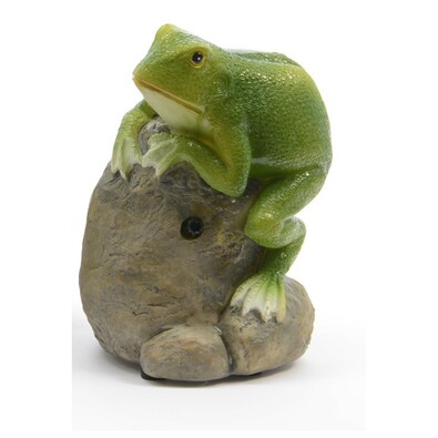 Kvákající žába na kameni