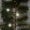 Vianočná girlanda so svetielkami, 270 cm