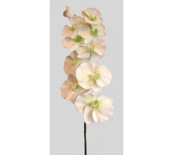 Umelá kvetina orchidea, biela, biela, 93 cm