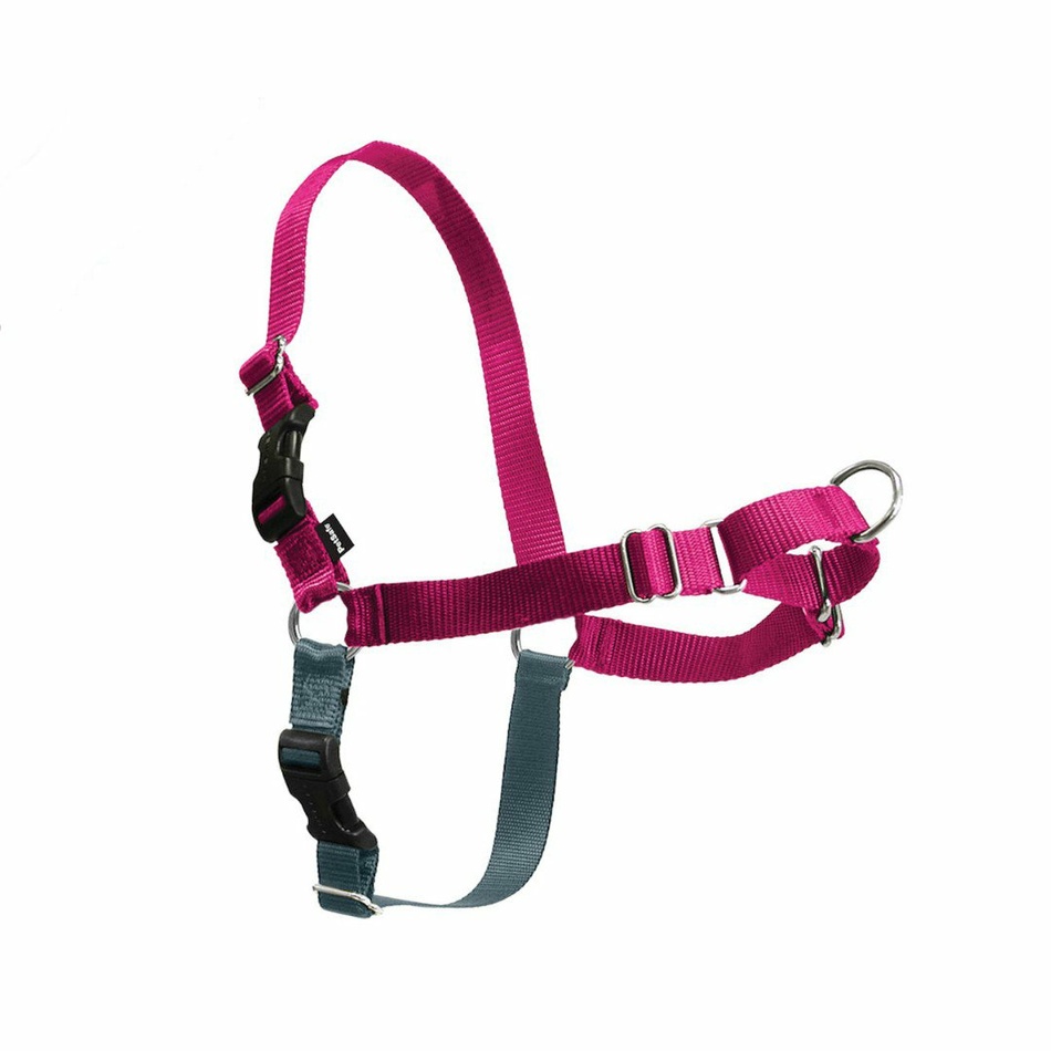 PetSafe EasyWalk hám EasyWalk málna L