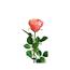 Umelá ruža, ružová, 69 cm