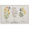 Suport farfurie Summer flowers Echinacea, 45 x 30 cm , set de 4 buc.