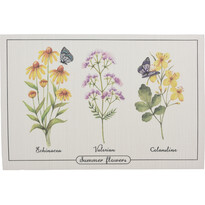 Podkładka Summer flowers Echinacea, 45 x 30 cm, zestaw 4 szt.