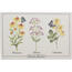 Suport farfurie Summer flowers Echinacea, 45 x 30 cm , set de 4 buc.