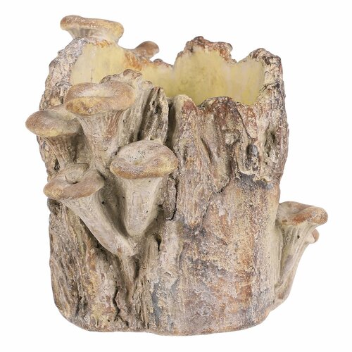 Beton burkolat - tusk with mushrooms, 19 x 17 x 16cm