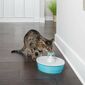 PetSafe® Butterfly Fountain 1,5 l
