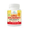 Dr.Natural URO - Brusnice 17200 mg, 60 tbl.