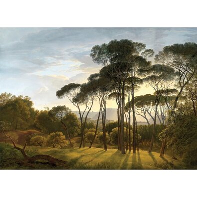 Fototapéta XXL Old Forest 360 x 254 cm, 4 részből