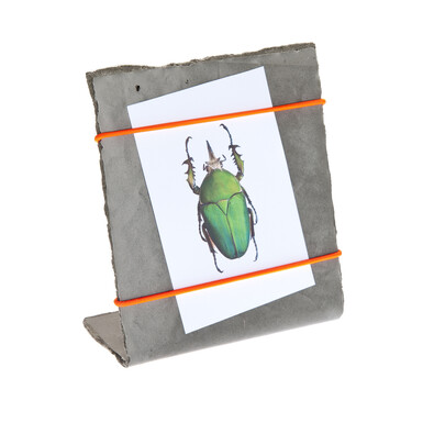 Ramka na zdjęcia Rollout, pomarańczowe gumki