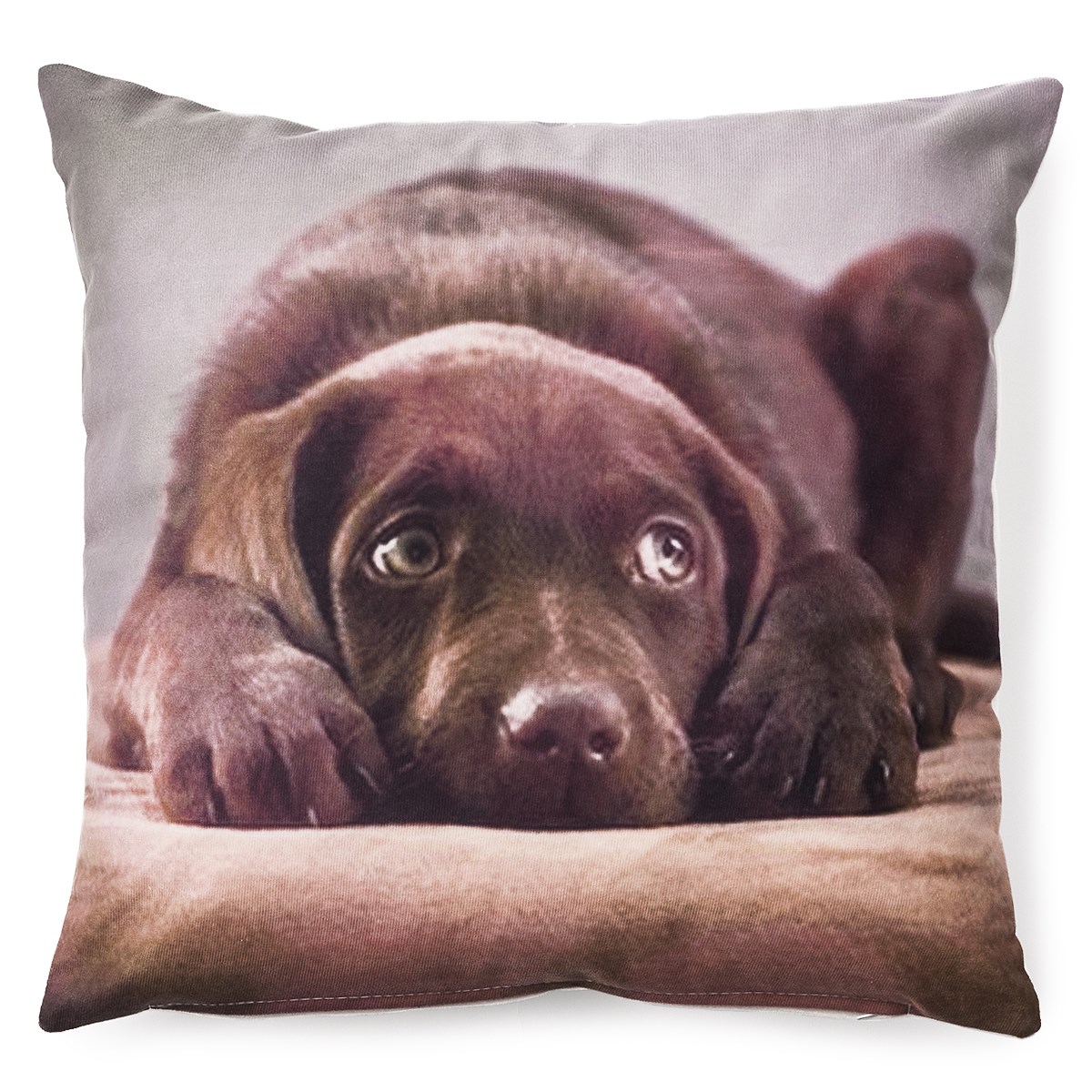 BO-MA Trading Obliečka na vankúšik Psík hnedá, 40 x 40 cm