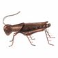 Decorațiune de grădină din metal Grasshopper, 27 x13 x 13 cm