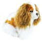 Rappa Plišasti pes King Charles Spaniel, 25 cm