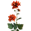 Sztuczna kwiatina Jiřina rdzawa, 72 cm