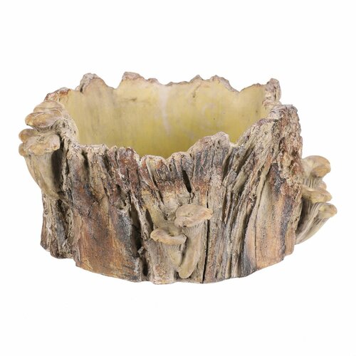 Beton burkolat - tusk with mushrooms, 32 x 29 x 16cm