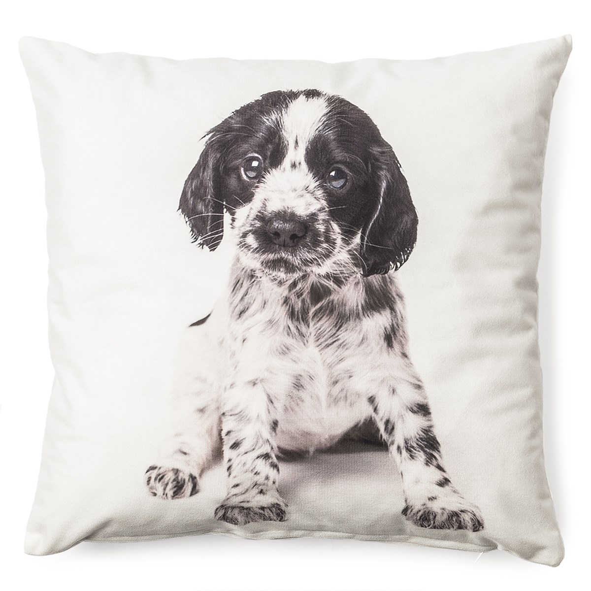 BO-MA Trading Obliečka na vankúšik Psík čiernobiela, 40 x 40 cm