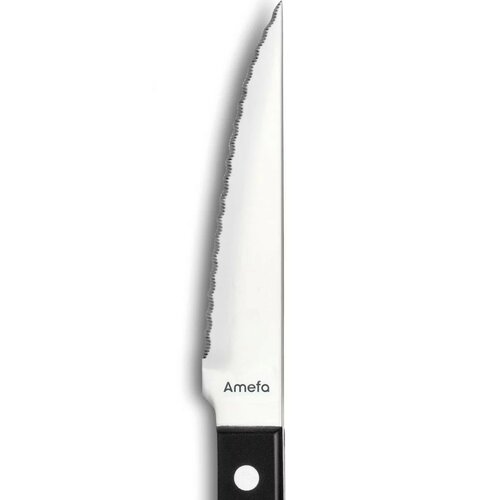 Amefa 6-częściowy zestaw noży do steków Pizza