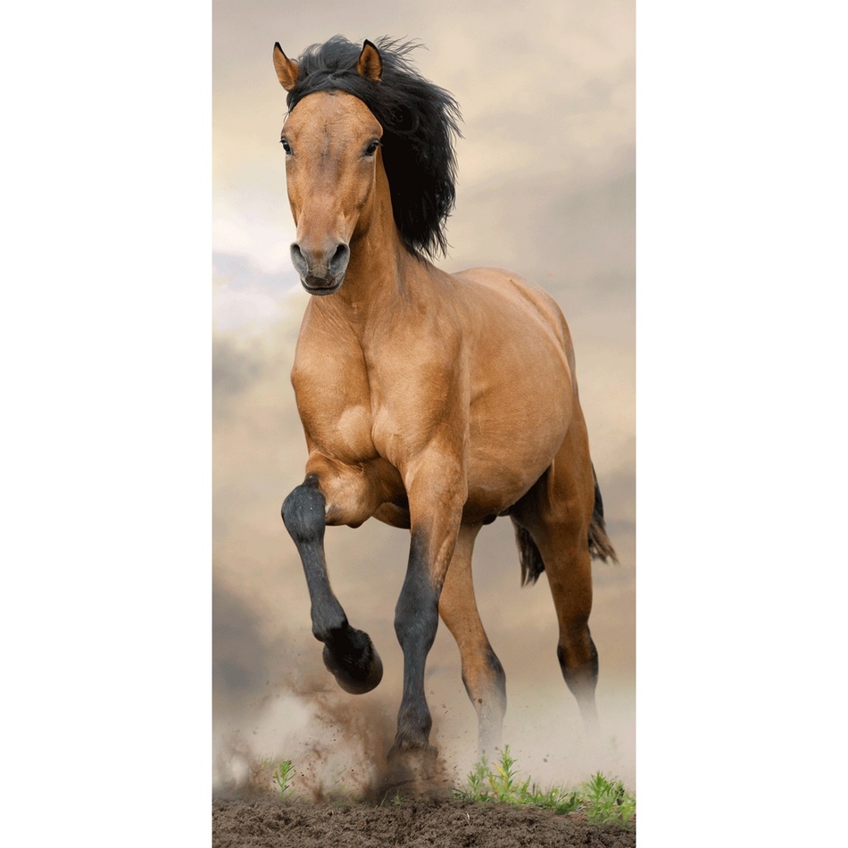 Horse törölköző, 70 x 140 cm