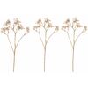 Set de ramuri de Gypsophila cu flori albe, 3 bucăți, auriu, 68 cm