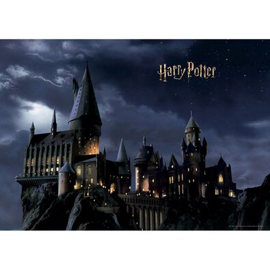 Otroška foto ozadje Harry Potter 252 x 182 cm , 4deli