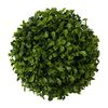 Buxus krogla zelena, premer 18 cm