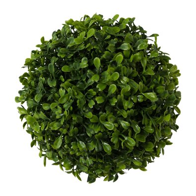 Buxus krogla zelena, premer 18 cm