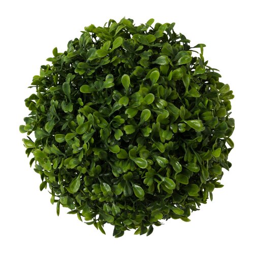 Buxus krogla zelena, premer 18 cm