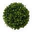 Buxus krogla zelena, premer 18 cm