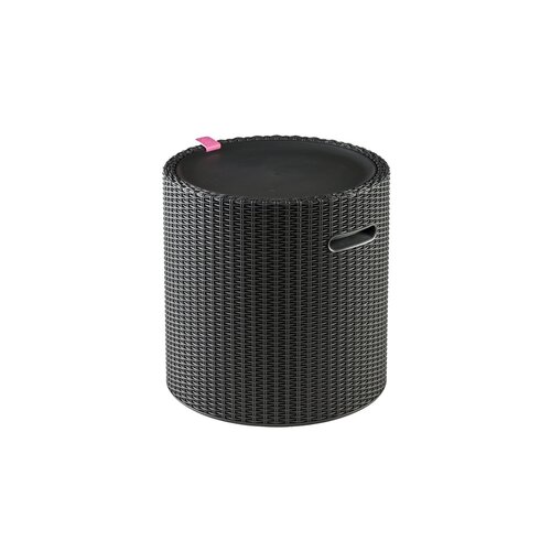 Keter Ablagetisch Cool Stool 39 l, anthrazit