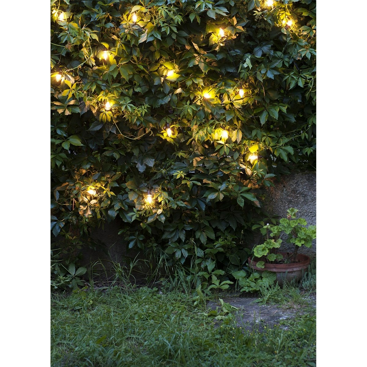 Svetelná reťaz Šiška, 20 LED žiaroviek Filament, číry kábel, základná