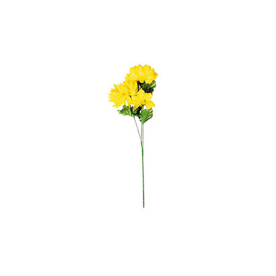 Polno cvetoča krizantema, 3 cvetovi, v. 58 cm