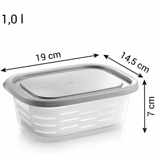 Caserolă de congelare cu coș Tescoma 4FOOD 1,0 l